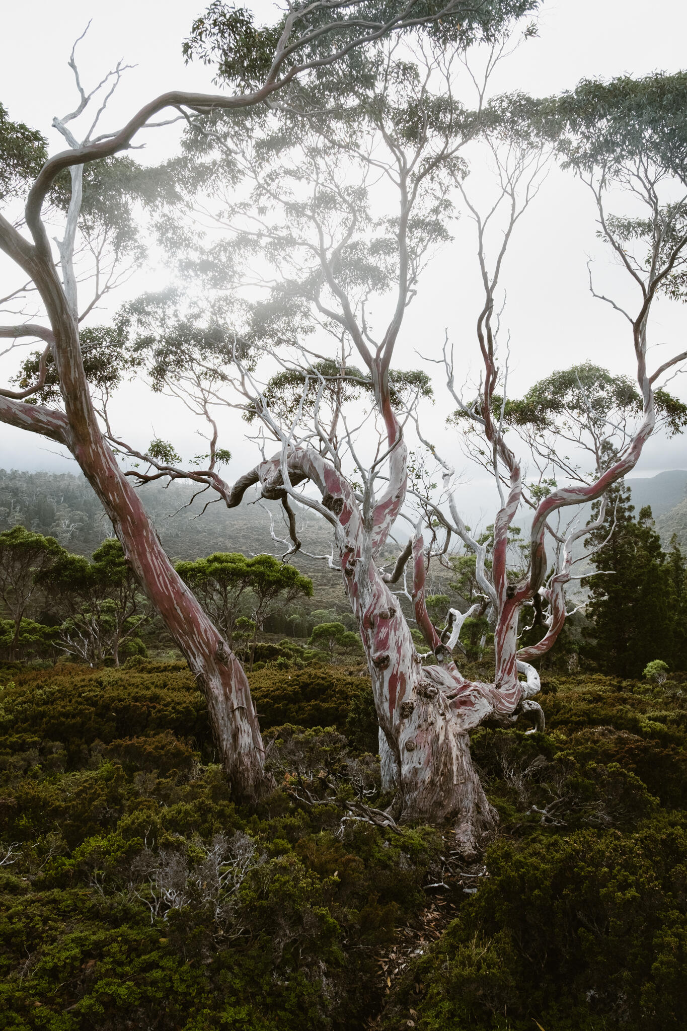 Rangeside Medical Centre